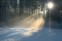 Seeing the Light in a Wintry Season