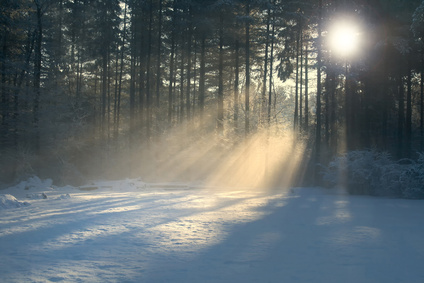 Seeing the Light in a Wintry Season